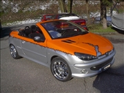 Peugeot 106  (26)